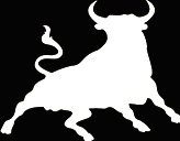 logo toro